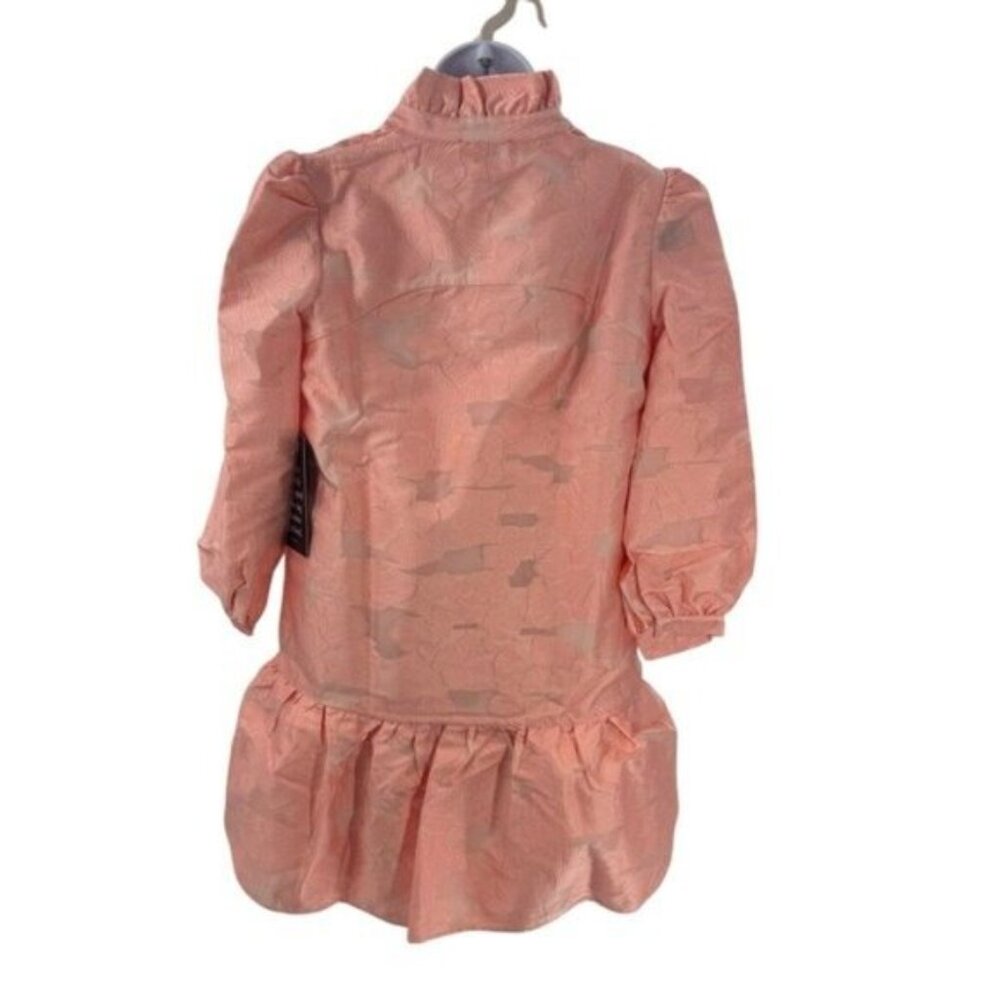 Tuckernuck NEW Bellini Fil Coupe Pink Drop Waist Long Sleeve Palmerston Dress M - Picture 8 of 12